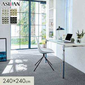 �y���O�J�[�y�b�g�z�J�[�y�b�g �A�X���� �A�X�G�|�b�N �S��10mm 240×240cm*EPC-92/EPC-09__cp2424-