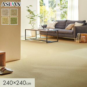 �y���O�J�[�y�b�g�z�J�[�y�b�g �A�X���� �j���[���[�Q�� �S��7.5mm 240×240cm*GNN-62/GNN-38__cp2424-