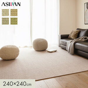�y���O�J�[�y�b�g�z�J�[�y�b�g �A�X���� �A�X�����f�BII �S��9.5mm 240×240cm*MDY-02/MDY-33__cp2424-