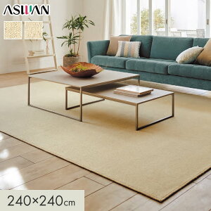 �y���O�J�[�y�b�g�z�J�[�y�b�g �A�X���� �A�X�����m �S��7�`8mm 240×240cm*MRN-05/MRN-07__cp2424-