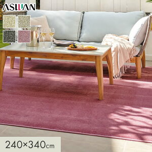 �y���O�J�[�y�b�g�z�J�[�y�b�g �A�X���� �A�X�u���[�XII �S��13.5mm 240×340cm*BS2-05/BS2-52__cp2434-
