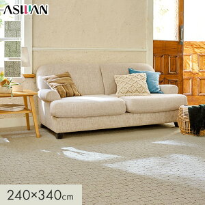 yOJ[ybgzJ[ybg AX AXNGXg S8mm 240×340cm*QST-92/QST-82__cp2434-