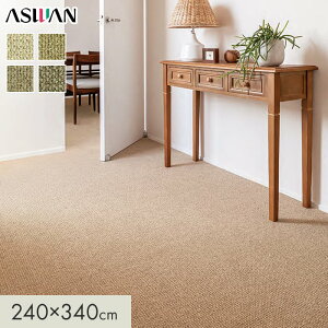 �y���O�J�[�y�b�g�z�J�[�y�b�g �A�X���� �A�X�V�[�Y�� �S��9.5mm 240×340cm*SZN-05/SZN-88__cp2434-