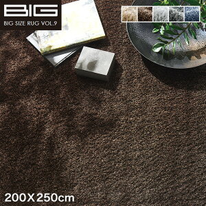 �y���O�J�[�y�b�g�z�y�R�A�����Q���z�X�~�m�G BIG �l�I�O���X 200X250cm*NGL2 NGL8 NGL9 NGL10 NGL38__cp13127373-3-