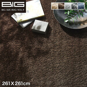 �y���O�J�[�y�b�g�z�y�R�A�����Q���z�X�~�m�G BIG �l�I�O���X 261X261cm*NGL2 NGL8 NGL9 NGL10 NGL38__cp13127373-4-