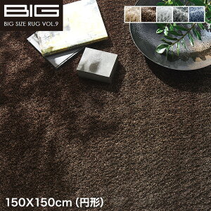 �y���O�J�[�y�b�g�z�y�R�A�����Q���z�X�~�m�G BIG M�l�I�O���X 150X150cm(�~�`)*NGL2 NGL8 NGL9 NGL10 NGL38__cp13127594-2-