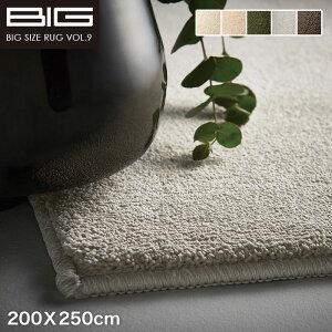yOJ[ybgzyh LzX~mG BIG X~gj[TL\j[ 200X250cm*SNX1 SNX2 SNX4 SNX9 SNX8__cp13133519-4-