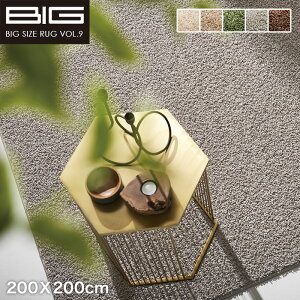 �y���O�J�[�y�b�g�z�y�R�A�����Q���z�X�~�m�G BIG �X�~�g�����j���[�c�C�X�e�B 200X200cm*NTW1 NTW2 NTW4 NTW9 NTW8__cp13342240-2-