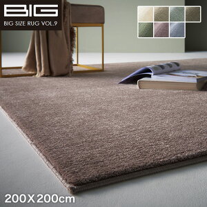 �y���O�J�[�y�b�g�z�y�h���z�X�~�m�G BIG �J�[�� 200X200cm*CL1 CL2 CL38 CL39 CL50 CL67 CL40__cp13440306-2-