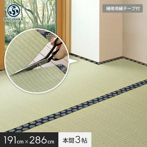 yuz yCe[vtz Jbgł~ ݂ { 3(191×286cm)__ig-h-158012130