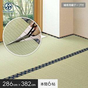 yuz yCe[vtz Jbgł~ ݂ { 6(286×382cm)__ig-h-158012160