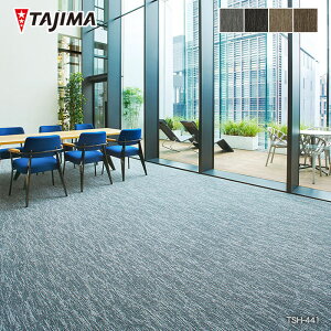 y1ISi|Cg2{zy@lElƎl͑zy^CJ[ybgz^W} ^CJ[ybg TS-7000 type-H M 16*TSH-441 TSH-442 TSH-443 TSH-444