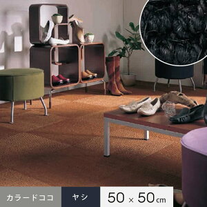 �y�^�C���J�[�y�b�g�z�V�R�f�� �^�C���J�[�y�b�g ���V �J���[�h�R�R CC-BL-6 50cm×50cm__cc-bl-6