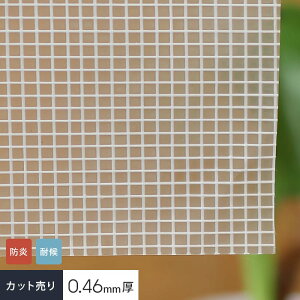 yrj[J[ezyJbg̔z 蓧 rj[J[en ό^[| CT-125__vck-ct1205