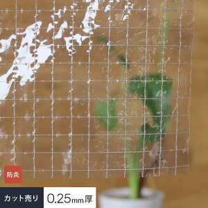 yrj[J[ezyJbg̔z 蓧 rj[J[en h^[| RVC-25__vck-sk2500