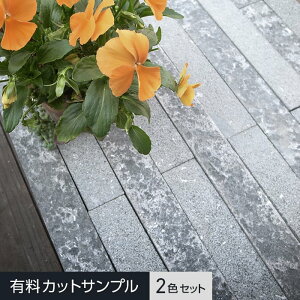 yǖʑzyTvzTIMEGARDEN `FV[_utFCX 2FZbg__tg-cdf-gr-s