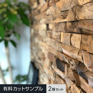 yǖʑzyTvzTIMEGARDEN eLTXbNEH[ [WEX[Zbg__tg-trw-s