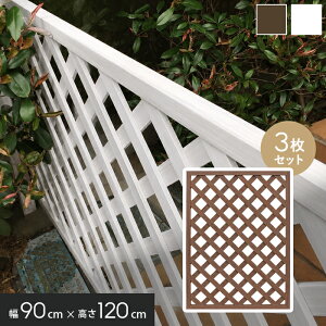 �y�t�F���X�z�y3���Z�b�g�z���V�ig ���e�B�X 1290 �i1200×900mm�j*WN/WH__aks47038-