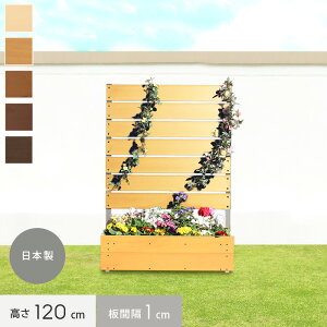 ytFXzv^[ƖډBtFX̍킹ZIȒPݒu yz{bNXttFX 1cmԊu 90cm×120cm*WH PI LB CO DB__fe-1201-