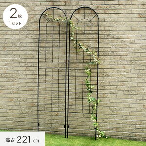 �y�G�N�X�e���A�z�A�C�A���t�F���X220(2���g) 500×13×2210mm__ybif-220-2p