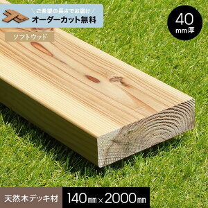 yEbhfbLzyJbgzyEbhfbLށz  ij UbNDPS h 40×140×2000__ngs-sg4014020