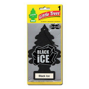 y5Ń[֖z gc[ rbOTCY GAtbVi[ Little Trees X-tra Strength 蒷 BIG 傫 F ݂艺 J[tbVi[ GNXg XgOX AJ