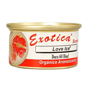 GL]`J I[KjbN GAtbVi[ yS10z  F   u^ nC nCA 썑 AJ  G  q̖ V̖ T[t Hawaii ouK }S