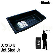 楽天市場】ワカサギソリの通販
