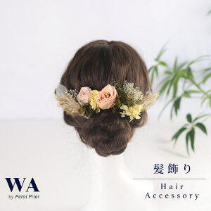  l  hCt[ sN  o Zbg  OB wAANZT[ wbhp[c wAhX EFfBO ܎O  w Ǝ  K-210