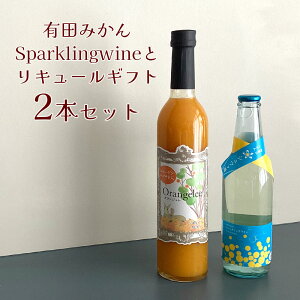 Lc݂SparklingwineƃL[Mtg ݂Vb 330ml Orangelee(IW) 500ml B݂ ݂ʎ Y ʎ L[ Xp[NOC ԖHi AR[F
