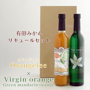 Lc݂񃊃L[Zbg 2{Zbg Orangelee(IW) 500ml Virgin orange (o[WIW) 12% 500ml B݂ ݂ʎ Y ʎ L[ ԖHi