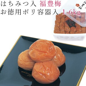 ~ ݂͂ 1.6kg L~ IB 썂~ ~  a̎R I  Ē p |e ƒ 킵 ybsOsÊsz