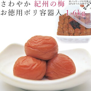 ~ 1.6kg ₩ IB̔~ |e IB 썂~ ~  a̎R  Ē p p p 킵܁ybsOsÊsz