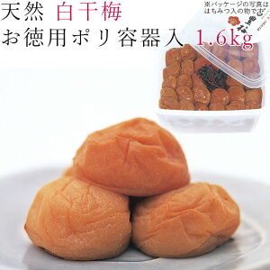 ~ 1.6kg VR ~ |e IB 썂~ n ~  a̎R a̎RY a̎RY 썂 E ߂ڂ E{V ~ڂ IBY Ē p ƒp 킵܁ybsOsE