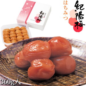 yIz~ ؁z~ 360g ݂͂ ϔ B20 IB 썂~ ~  a̎R ߊ I   j j  yY 蕨 v[g Mtg