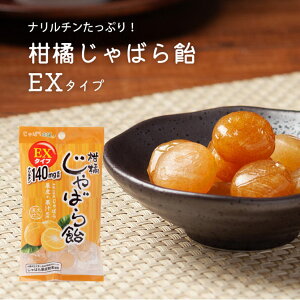 y1܁z ΂{ k΂爹 EX^Cv a̎RY΂ ʔ   LfB[ i` ΂ Wo  [ցyܖ2026N.7zŷsz