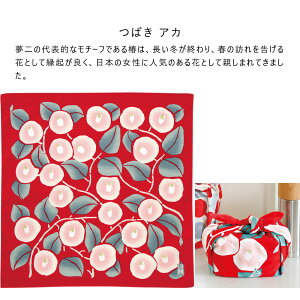 `[t |v ӂ낵 48cm C~ tVL 100 ٓ ٓ َq ނ Rc@ lR ltƂǂ ΂  킢 a [ 蕨 v[g Mtg 