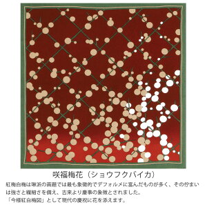 C~ Oタ߂Fӂ낵 68cm 쓇DZR  tVL LE YU-SOKU IiVEECj 畟~ԁiVEtNoCJj VbN a a  IV 