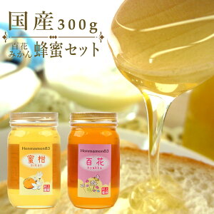 ݂͂  300g 2Zbg  {I I n`~c a̎RY Y Si S Ђ ݂݂͂  ݂ ~J 蕨 v[g MtgyܖF2027N