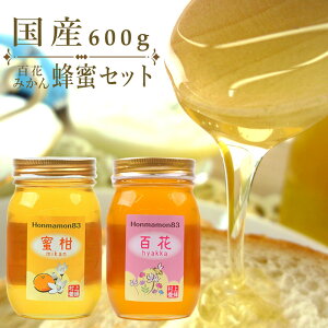 ݂͂ Zbg  600g 2Zbg  {I I n`~c a̎RY Y Si S Ђ ݂݂͂  ݂ ~J 蕨 v[g Mtgyܖ