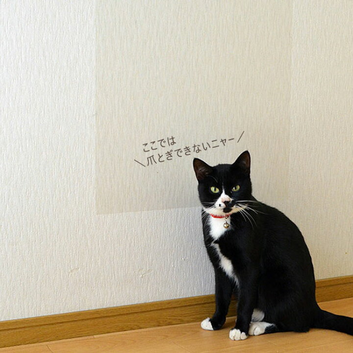 楽天市場 ペット壁保護シート はがせる弱粘着タイプ 半透明 46cm 1m 1枚 犬 猫 ひっかき 爪とぎ防止 汚れ防止 Petp 02s 落書き 日本製 リンテックコマース 暮らしと眠りを楽しむ店 和っふる