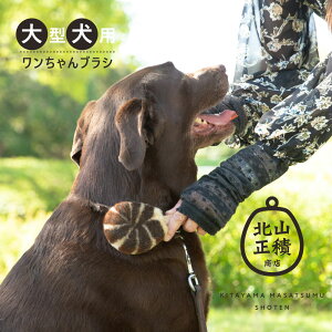 y11/1 |Cg5{ _tf[z kRϏX y^pzybg uV  킵 񂿂uV uV p ybgp ubVO pi L 킵 V 