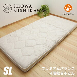 ~zc VO  a v~AoX4w~ӂƂ VOO E[ VLap RۖhL |WH GQ5005 22103-10228y^zցz