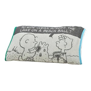 ���J�o�[ �̂т̂� ���� �s�[�i�b�c PEANUTS �X�k�[�s�[ �s���[�P�[�X �܂���J�o�[ �L�k�� �p�C���n Ag�R�ۉ��H ��64×34cm �^�I���f�� 35×50cm�E63×43cm�ɂ� BEACH �r�[�` ��l���킢���X�k�[�s�[ XT6