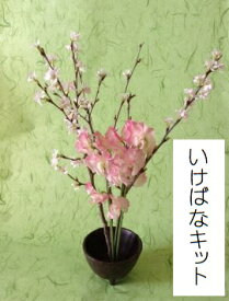 いけばなキット■桜の生け花セット　初心者にお勧め　3月はサクラの生け花　いけ花を始めるなら生花セット　いけばなセット 　おじいちゃんおばあちゃんの新たな趣味 いけ花初心者　簡単　生け花花材とレシピ 高齢者のレクリエーション　認知症予防とリハビリ　華道セット