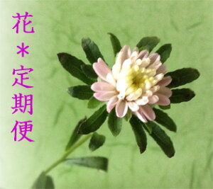 リンドウ 花束の人気商品 通販 価格比較 価格 Com