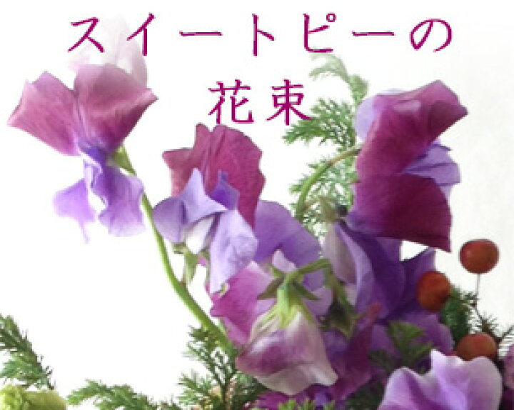 楽天市場 甘く香るスイートピーの花束 花便り スイートピーと季節の花 卒業式に贈る花束 卒園式 成人式 和風花 和花 和風フラワーギフト 誕生日 命日 法事 結婚記念日 お見舞い 花を贈るなら和風花 送料無料 生花 画像サービス 和の花 和の花