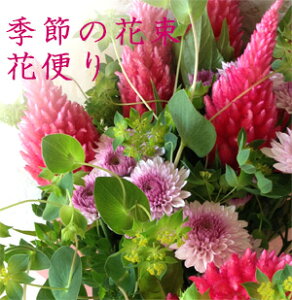 Ԓց@͂ԁԕւ3R[Xɑԑ@10͌{ƋG߂̉ԁ@at[Mtg@G߂̉ԑց@ԃTuXN@t[TuXN@̉ԑ@3