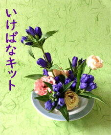 楽天市場 生け花 セットの通販