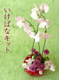 楽天市場 生け花 道具 セットの通販